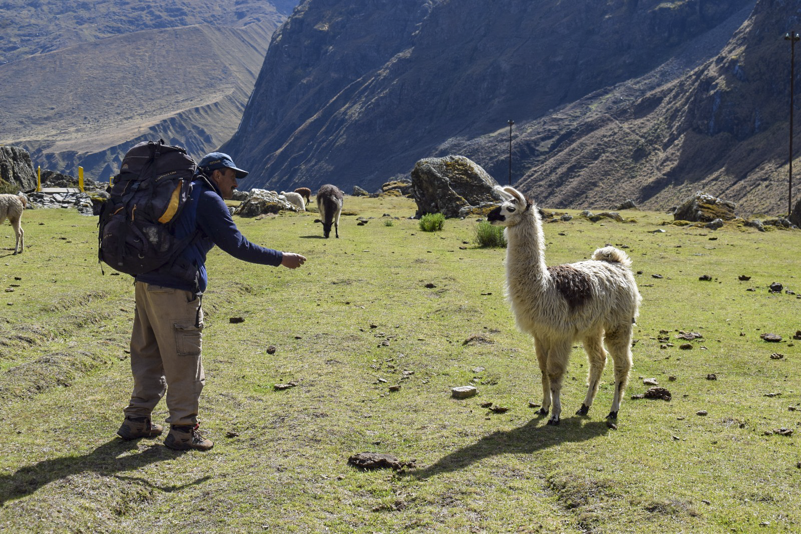 Campanani-Botijlaka_ (64)