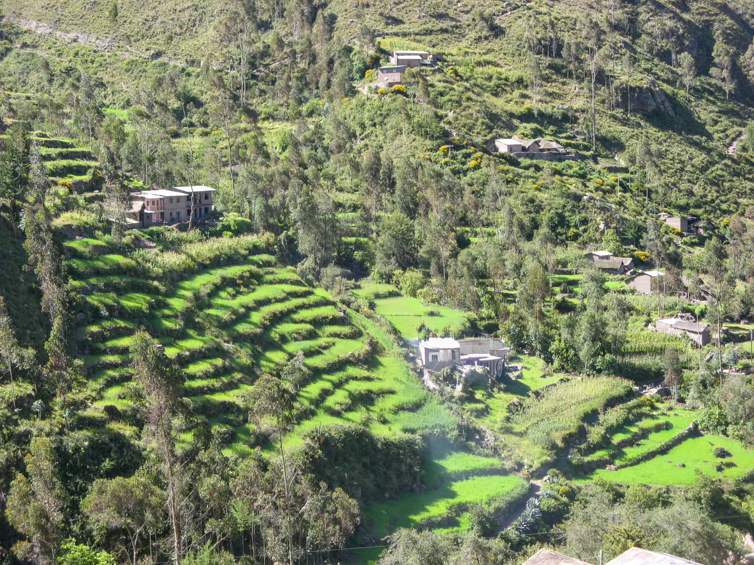 Kaluyo-Charazani_ (3)