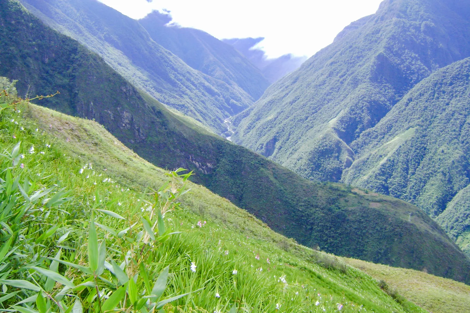 MSanFrancisco-TotoraPata_ (118)