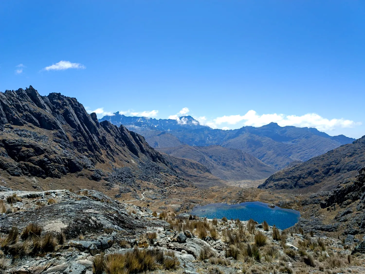 MSanFrancisco-TotoraPata_ (2)