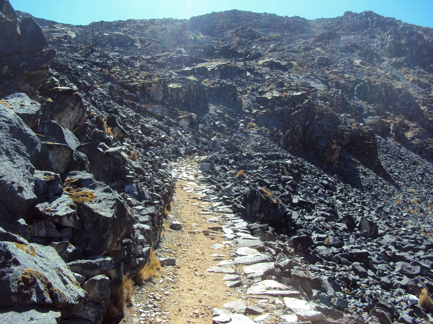 MSanFrancisco-TotoraPata_ (23)