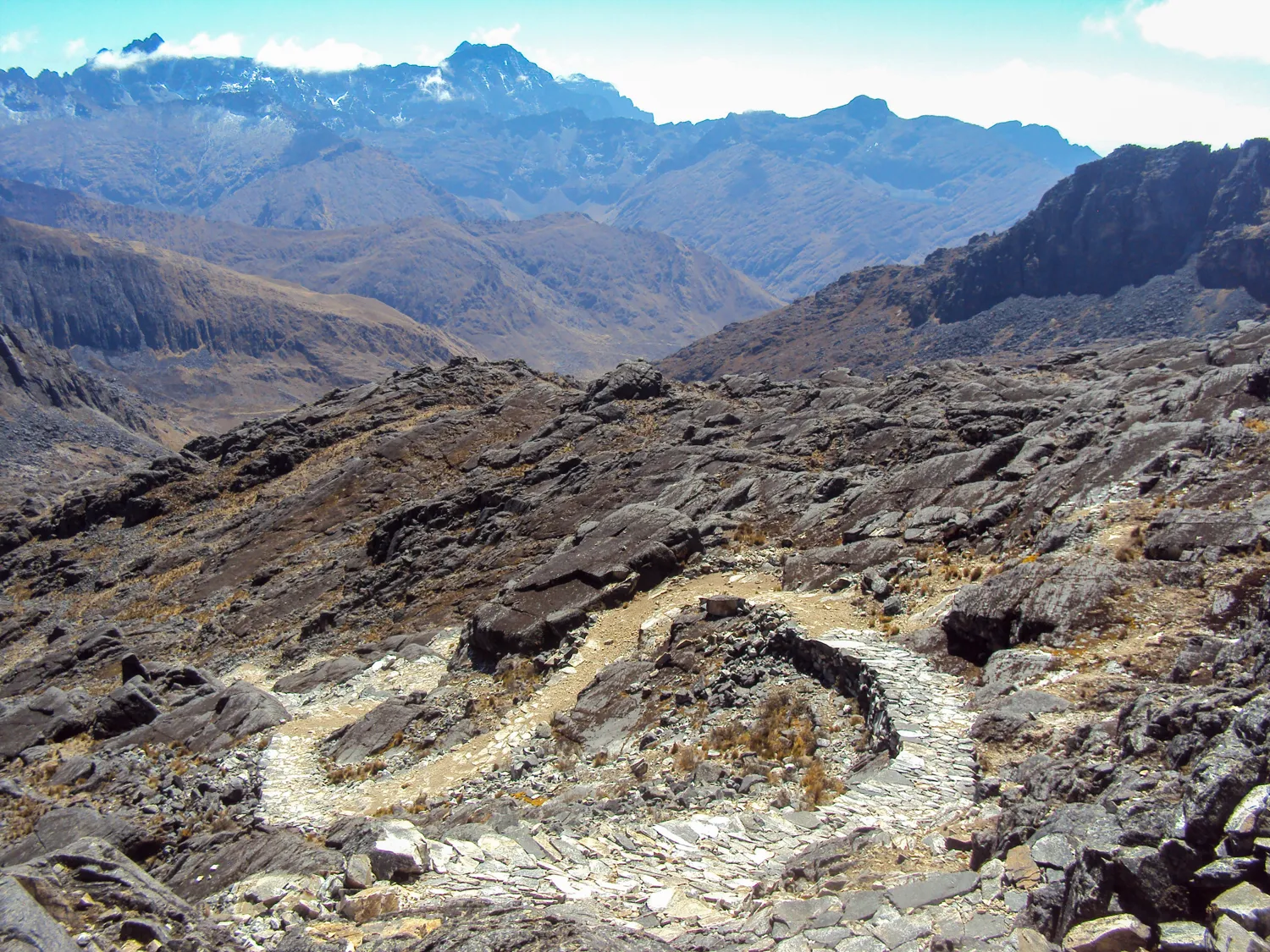 MSanFrancisco-TotoraPata_ (32)