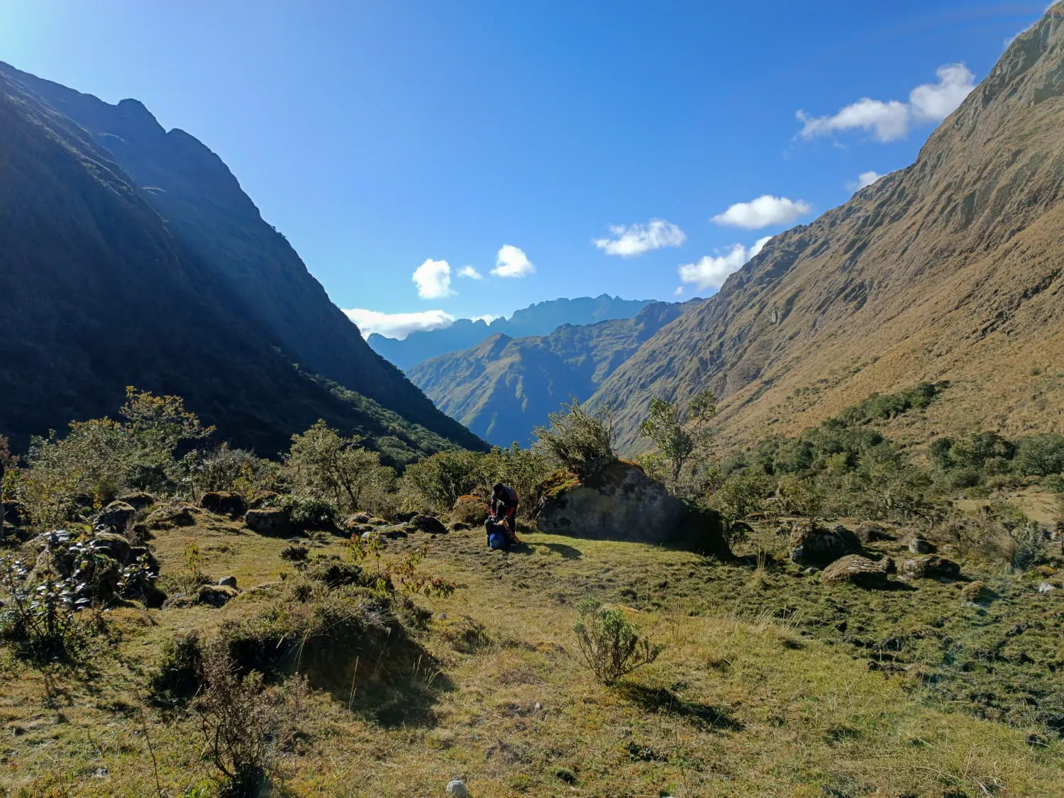 MSanFrancisco-TotoraPata_ (7)