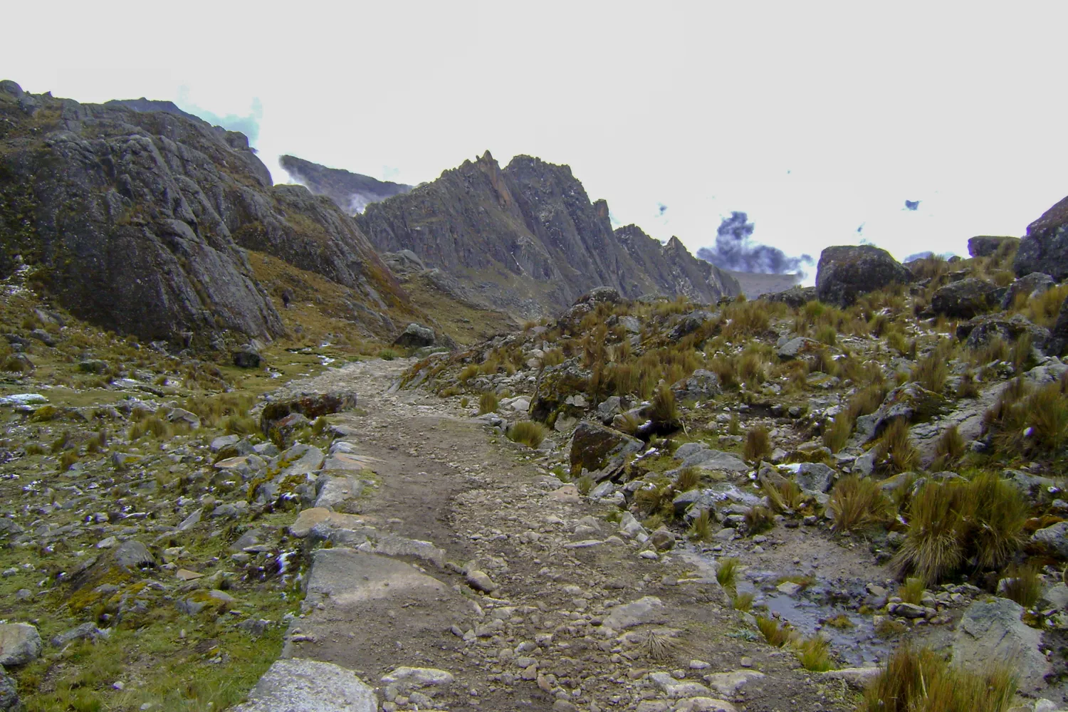 MSanFrancisco-TotoraPata_ (70)