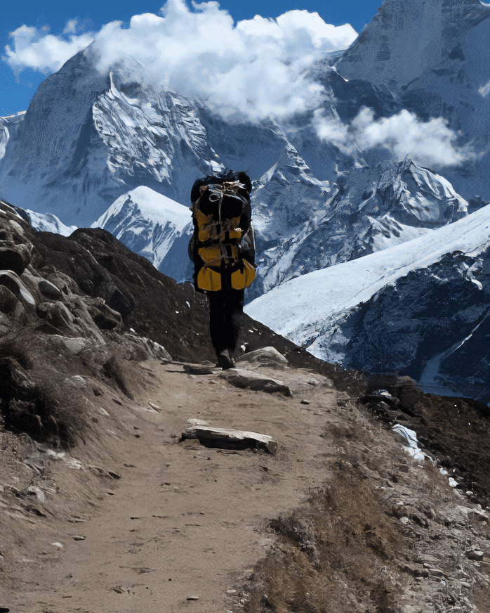 Porter Supported Trips