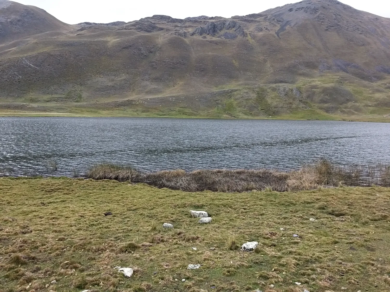 Trekking_Laguna Qhasiri_12Feb2023 (56)