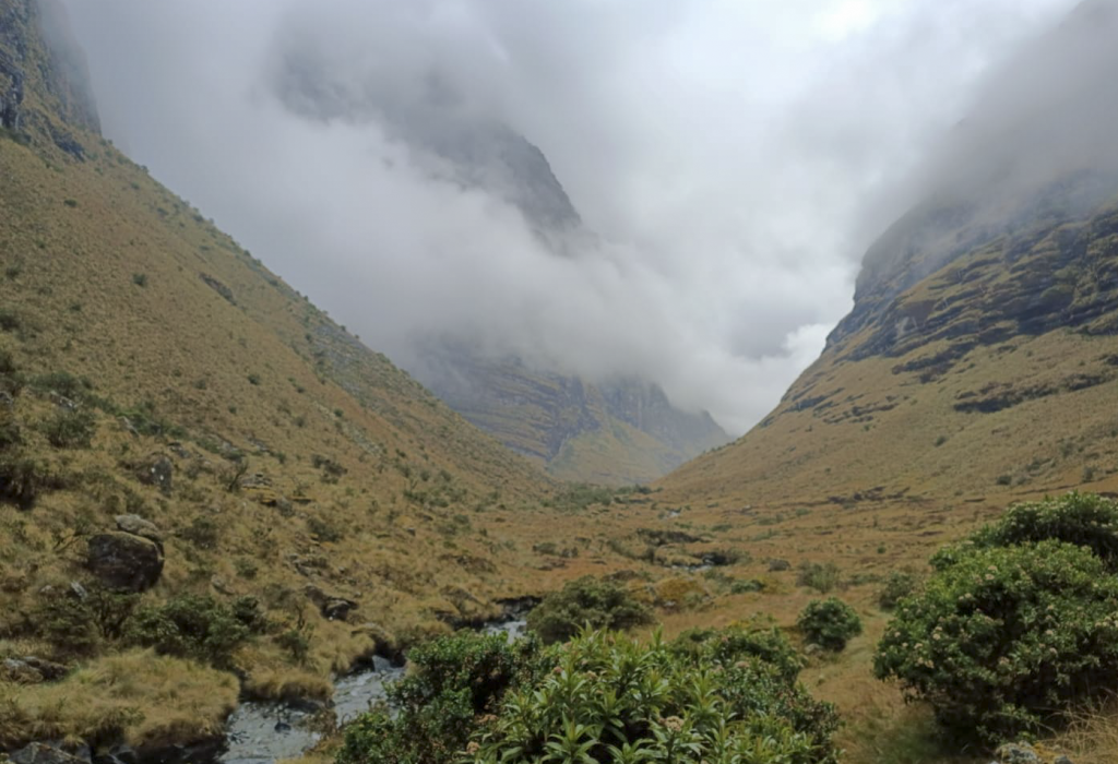 Acero-Marka_Oct2022_ (50)