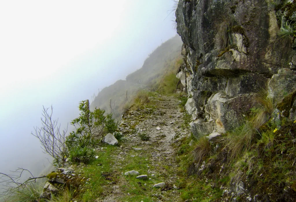 MSanFrancisco-TotoraPata_ (94)