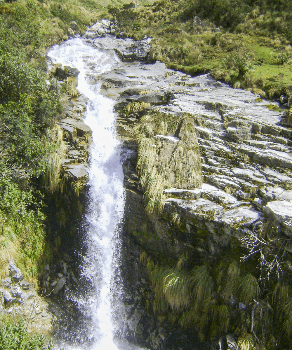 MSanFrancisco-TotoraPata_ (98)