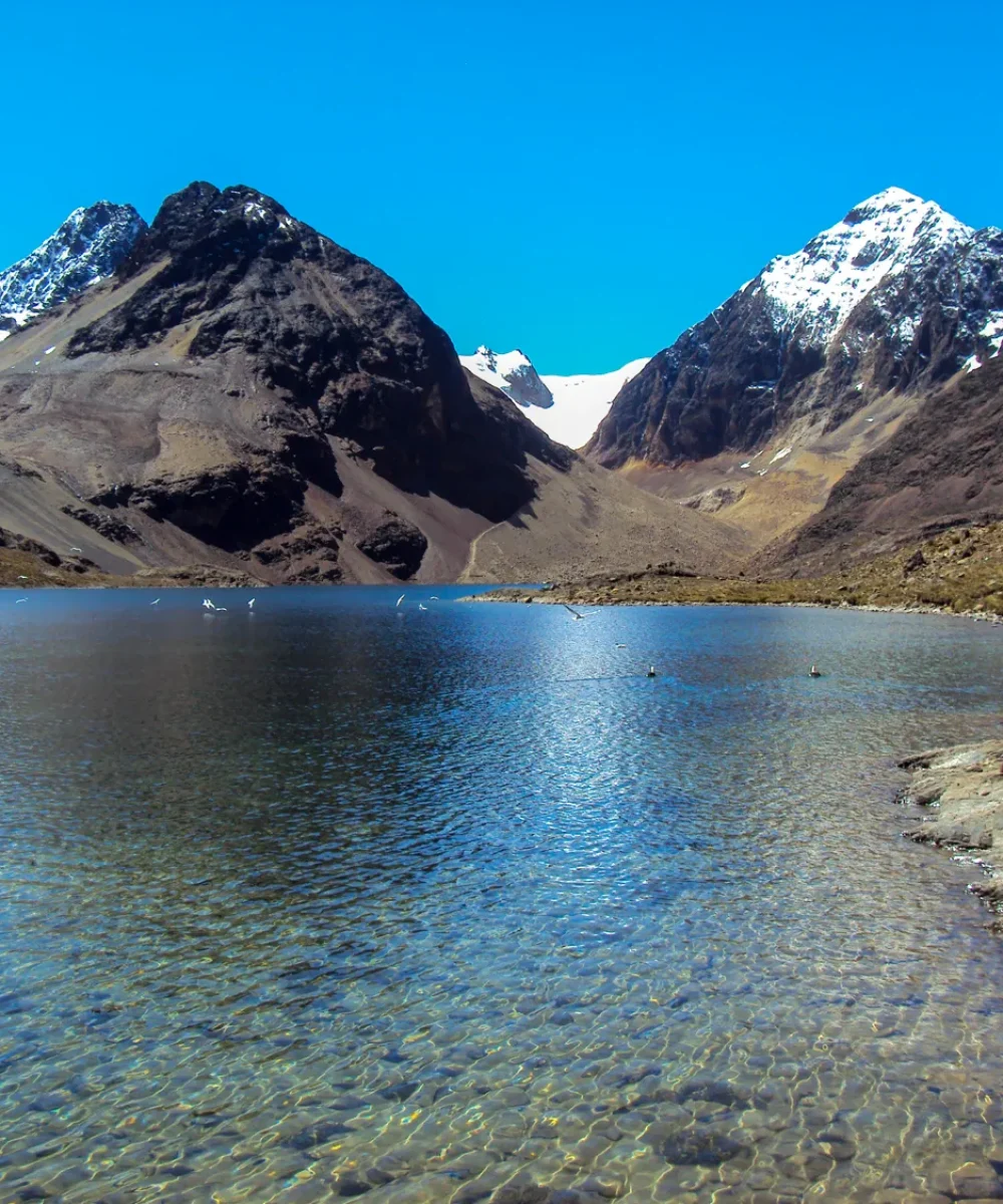 Mina Nevado