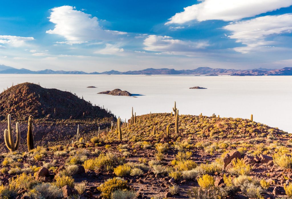 Huge sized cactus plants Salar De Uyuni island mountains scenic landscape beautiful view, traveling destination Bolivia tourism South America.
