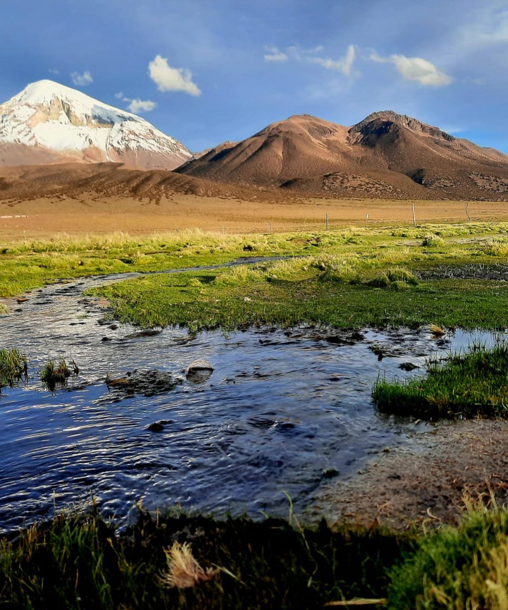 Sajama Mountain at Sajama National Park, Bolivia